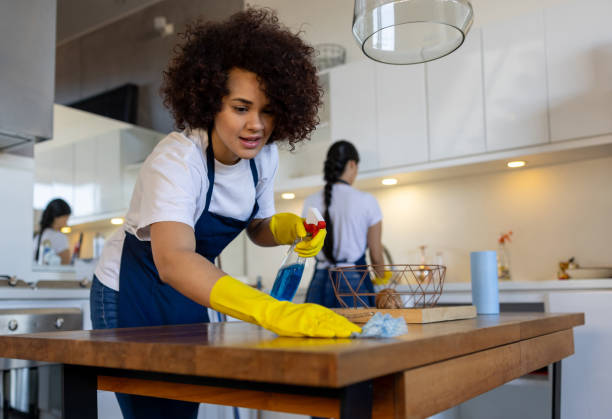 Jobs in Housekeeping for English-speaking People in the Netherlands, 2025