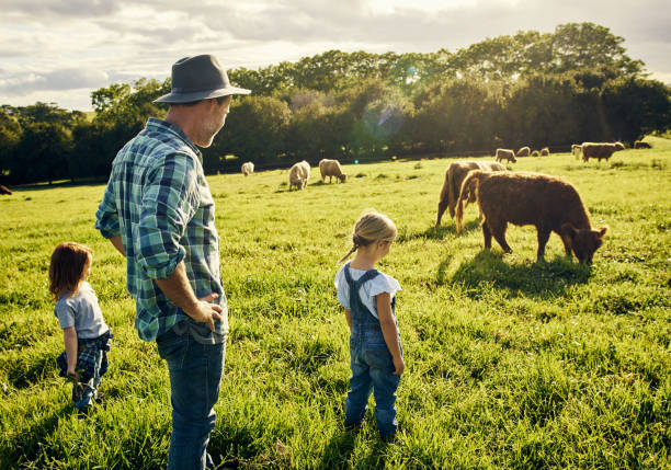 Jobs on Australian Dairy Farms With Visa Assistance 2025