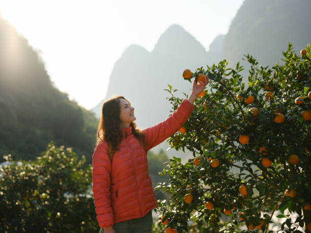 Jobs for Foreigners Picking Fruit in Belgium in 2025