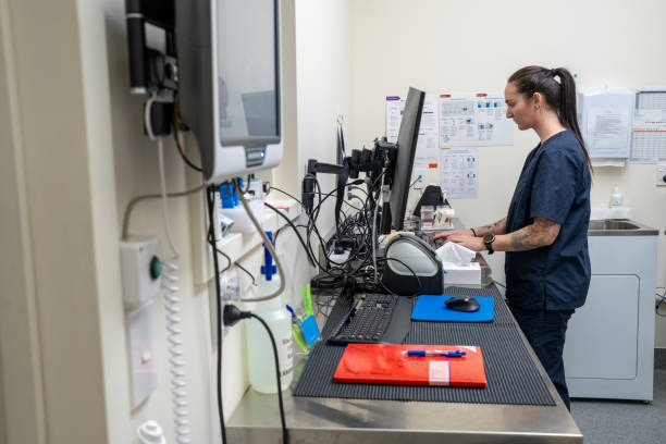 New Zealand Nursing Jobs 2025: Sponsored Visas