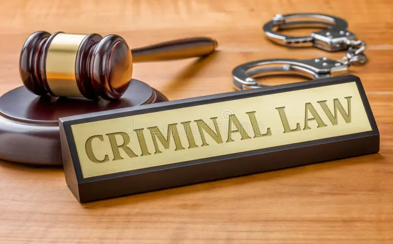 Criminal Lawyer: The Complete Guide to Criminal Defense, Roles, Costs, and How to Choose the Best Attorney
