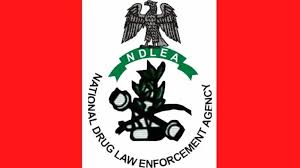 NDLEA Recruitment 2026/2027 Application Form Portal | www.ndlea.gov.ng