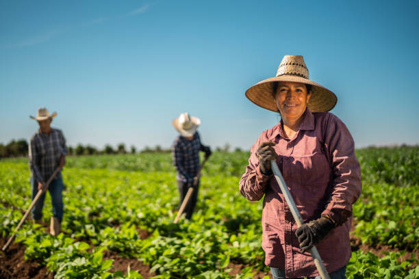 Jobs for Farm Workers in Norway With Sponsored Visas