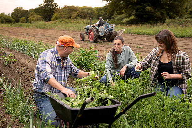 Jobs for General Farm Laborers in the UK with Sponsored Visas 2026
