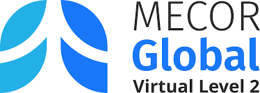 Is Mecor Legit in 2026? How to Make Money from work.mecor.com